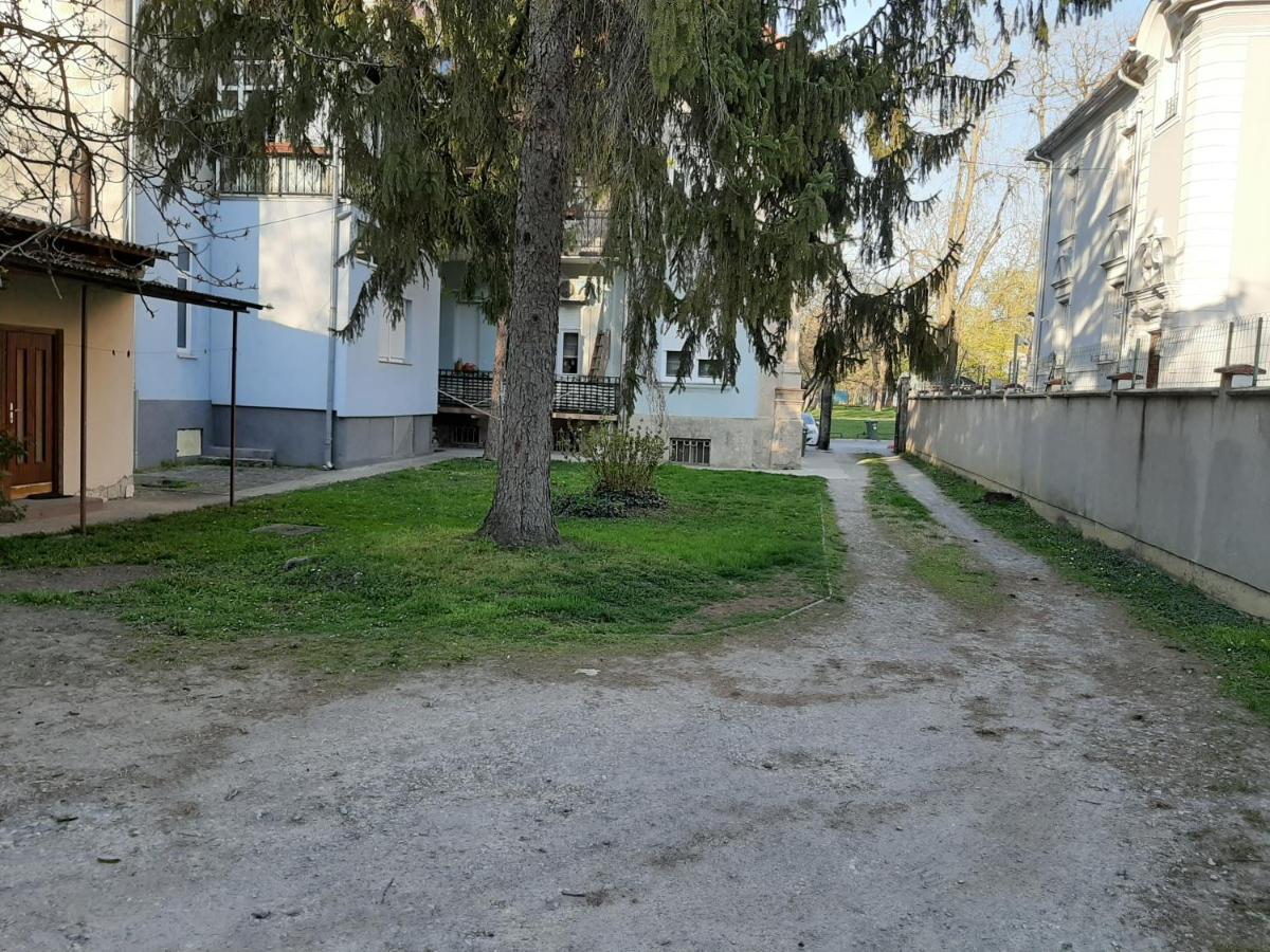 Apartman Kod Kestena أوسييك المظهر الخارجي الصورة