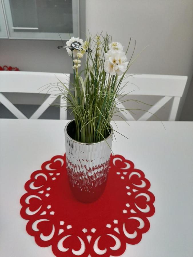 Apartman Kod Kestena أوسييك المظهر الخارجي الصورة