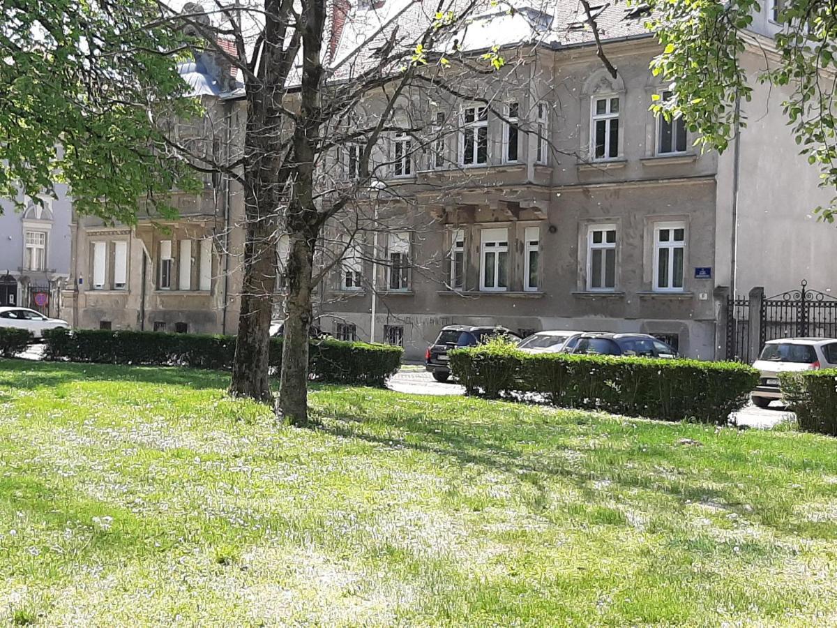 Apartman Kod Kestena أوسييك المظهر الخارجي الصورة
